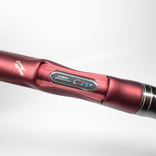 １９　ＲＩＮＫＡＩ　ＡＲＴＥＴＡ　1-530